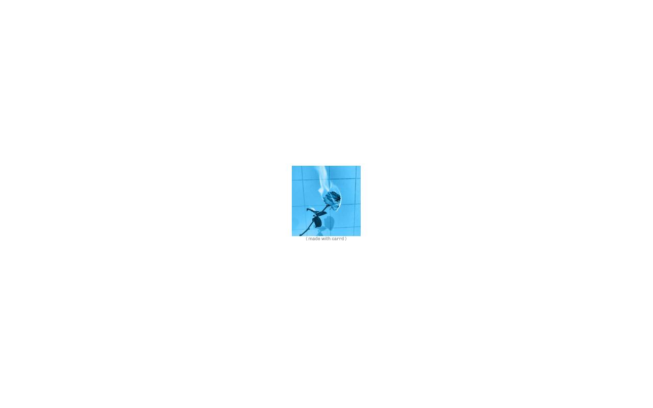 Carrd profile picture for @cents